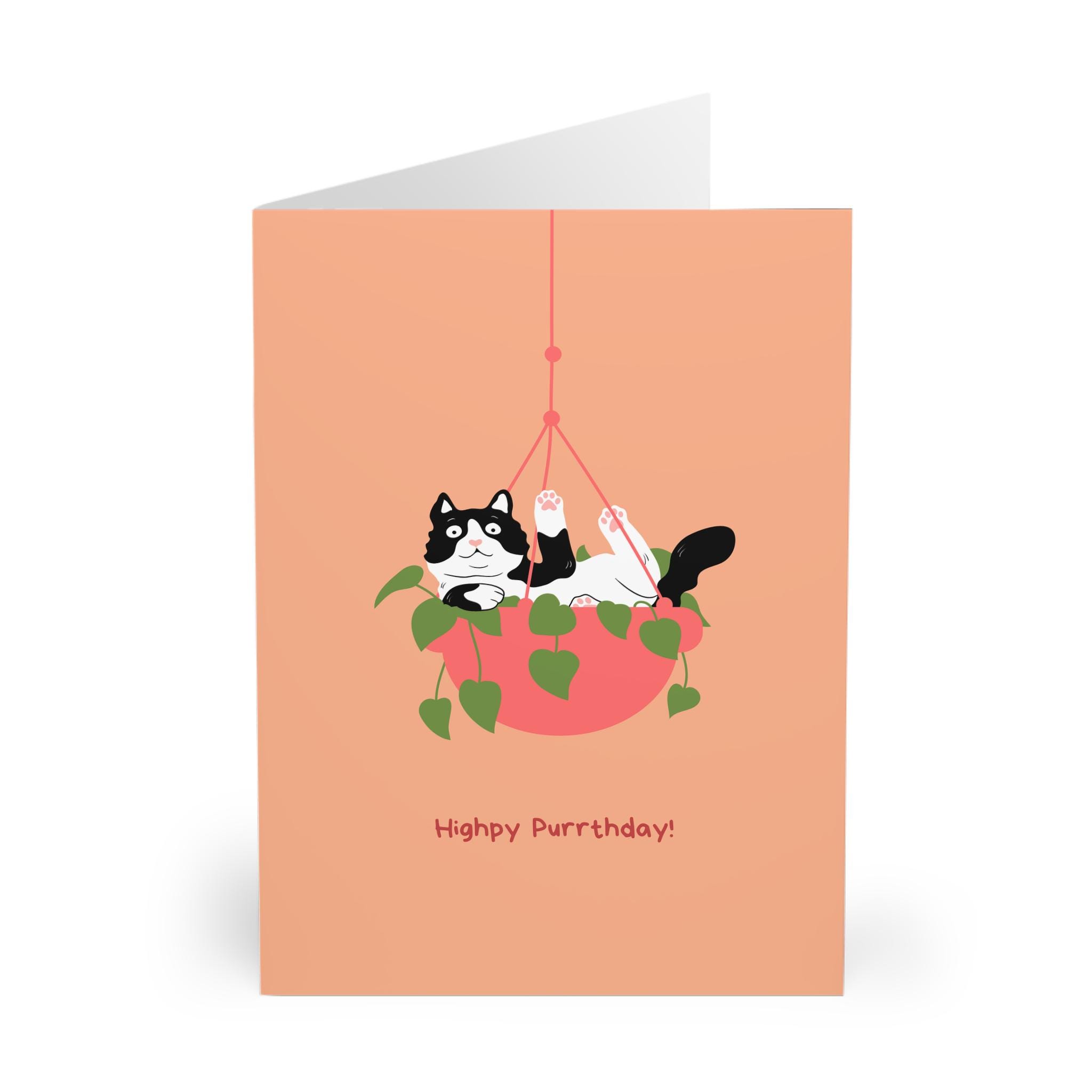 funny tuxedo cat birthday card black and white cat design with highpy purrday pun perfect birthday card for cat lovers and feline fans funny tuxedo cat birthday card black and white cat design with highpy purrday pun perfect birthday card for cat lovers and feline fans