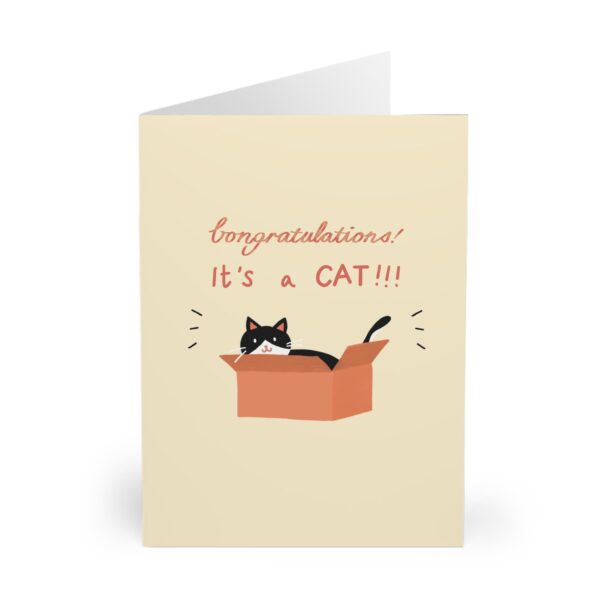 funny new cat card new kitten congrats it is a cat cute new cat gifted card new baby card cat lover gift perfect for cat owners