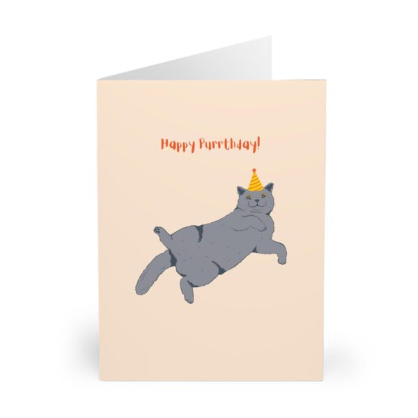 british blue cat birthday card grey british shorthair cat birthday card for cat dad cat mum pet owner gifts from the cat british cat card