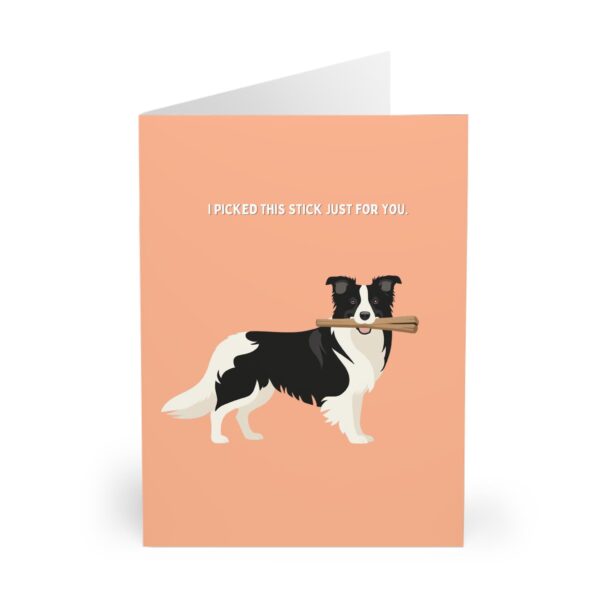 funny border collie birthday card & father's day card cute border collie carrying a stick design sheepdog birthday card