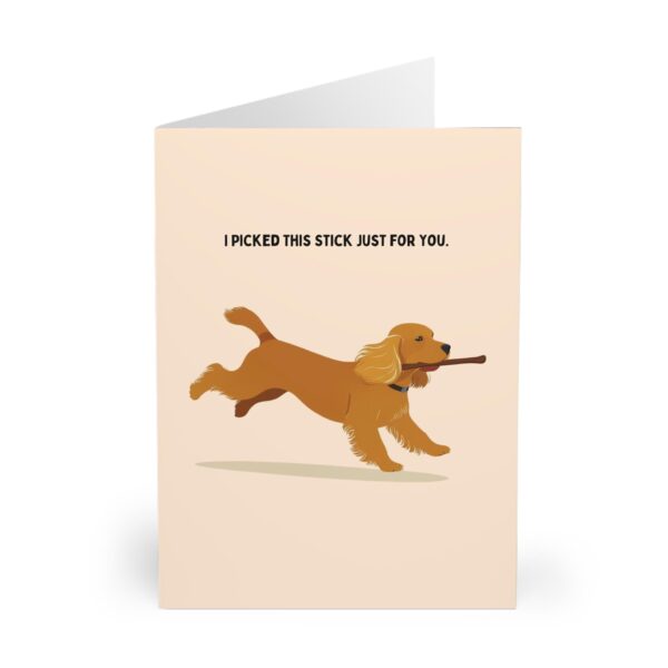 funny cocker spaniel birthday card fathers day card for dog lovers and cocker fans featuring cute cocker spaniel with a stick design