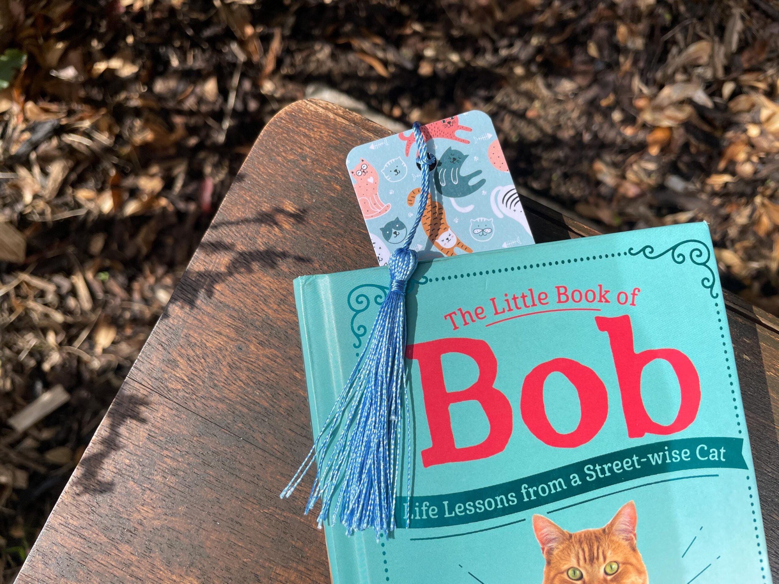 colorful cat bookmark with tassel – unique stationery gift colorful cat bookmark with tassel – unique stationery gift