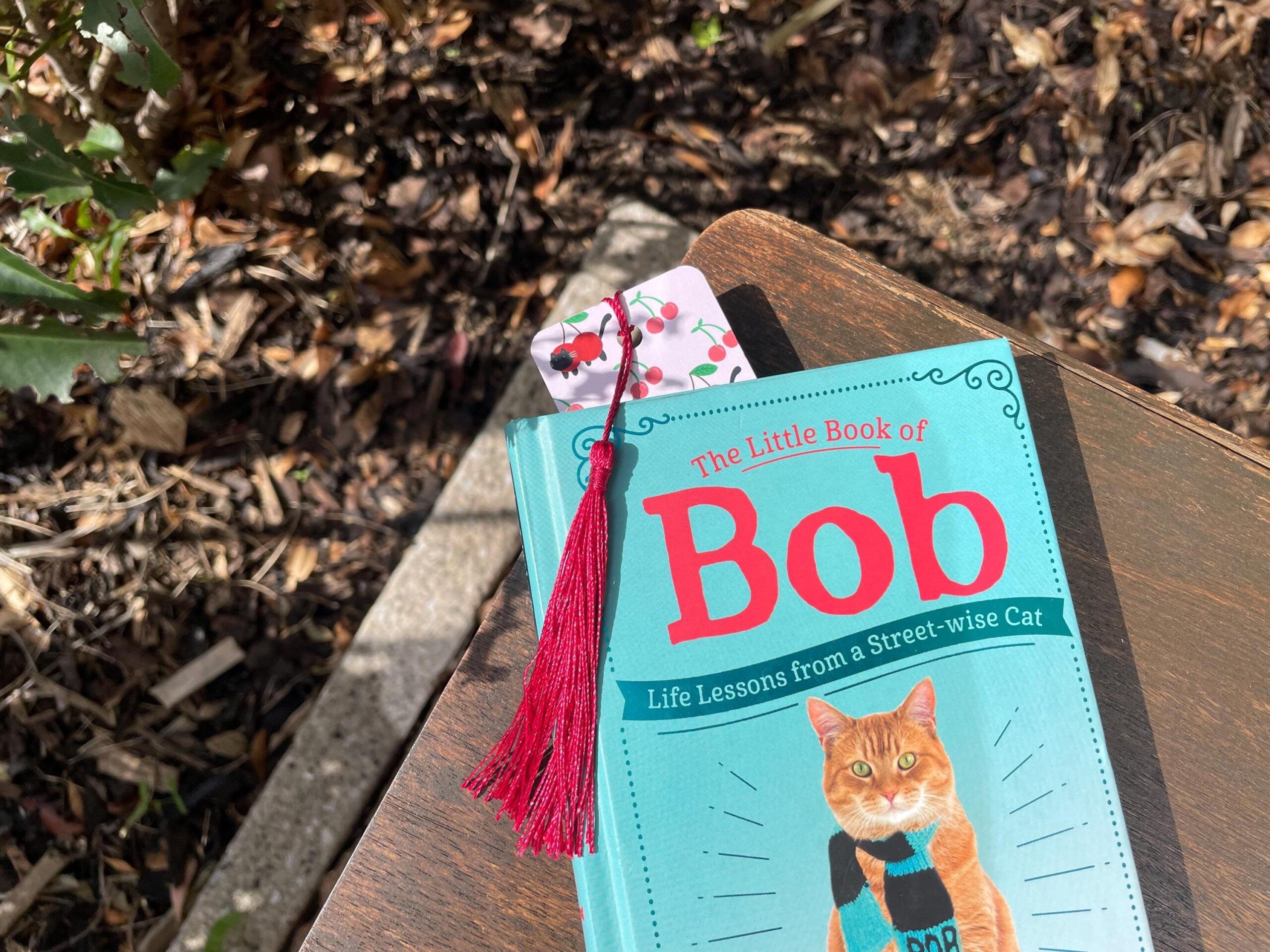 cat cherry bookmark – whimsical tassel design cat cherry bookmark – whimsical tassel design