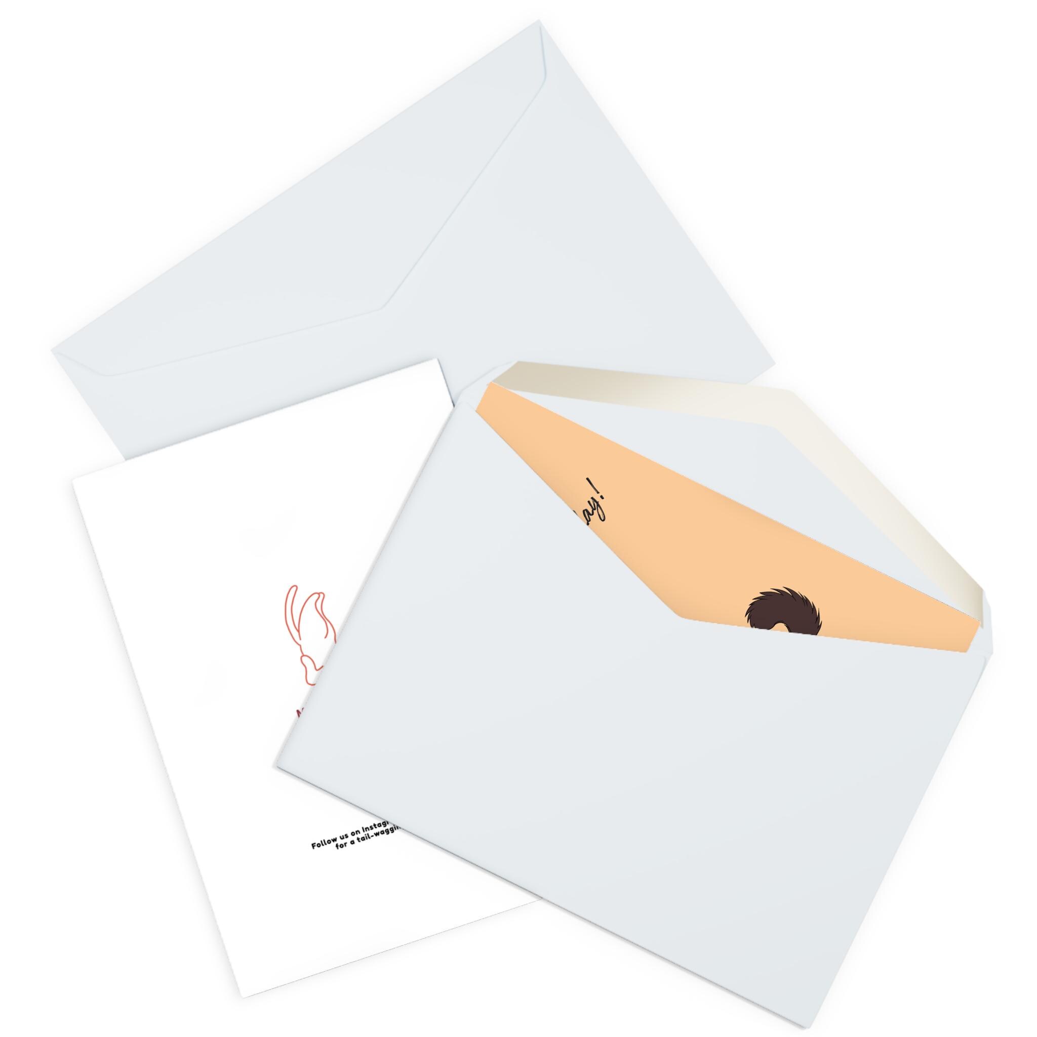 maine coon cat birthday card adorable big fluffy cat fun birthday card for cat lovers cat mum cat dad pet owner gift from the cat maine coon cat birthday card adorable big fluffy cat fun birthday card for cat lovers cat mum cat dad pet owner gift from the cat